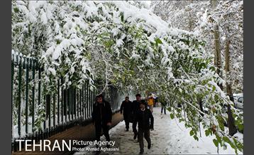 بارش اولین برف پاییزی در تهران 7