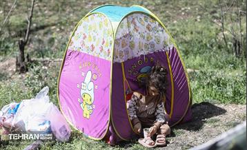 روز طبیعت در پارک جنگلی لویزان 45