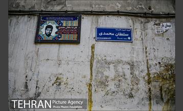 شهرنگار؛ سلسبیل 29