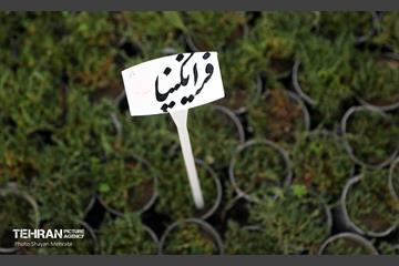 افتتاح پروژه‌های منطقه ۱۴ 13