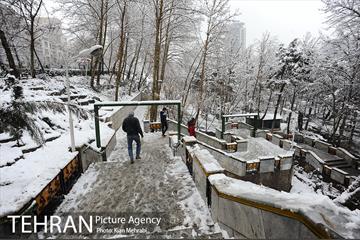 بارش برف زمستانی در تهران 7