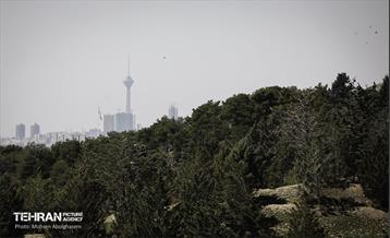 روز طبیعت در پارک جنگلی لویزان 19