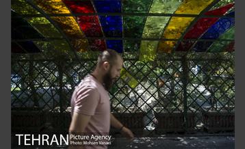 بلوار کشاورز 8