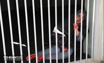 آیین افتتاح نمایشگاه موزه عبرت در باغ موزه قصر 47