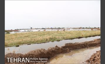 بازدید شهردار تهران از منطقه سیل زده پل سبحانیه دشت آزادگان 19