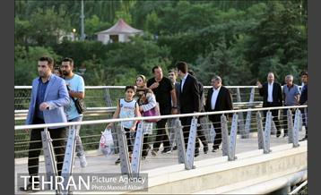 طبیعت گردی مارک ویلموتس در پل طبیعت 8