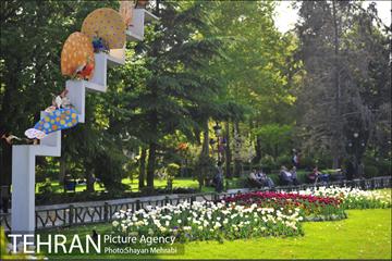 رویش گل های لاله در بوستان ملت 20