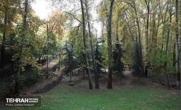 طبیعت پاییزی مجموعه فرهنگی تاریخی سعدآباد  41