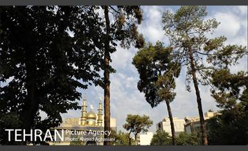 نگاهی به منطقه 16 شهرداری تهران 22