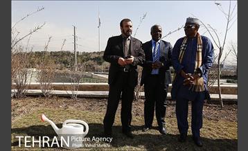 آیین کاشت درخت صلح و دوستی 44