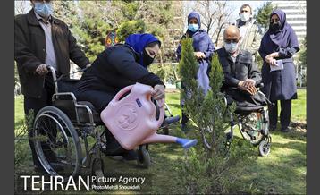 مراسم روز درختکاری در منطقه 7