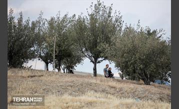 اختتامیه ششمین جشنواره قرآنى آیه هاى مهربانى 17