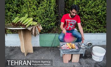 شیر بلال تابستان 1