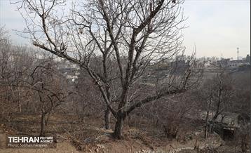 اینجا کارگاهه؛ اکو پارک فرحزاد 20