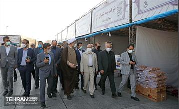 آیین افتتاح نمایشگاه  عطر سیب  5