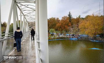 سمفونی رنگ های پاییزی - پارک ملت 17