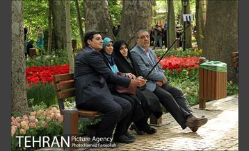 لاله های بهاری بوستان مختاری 27