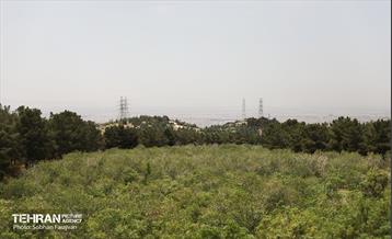 بازدید اصحاب رسانه از کمربند سبز 1