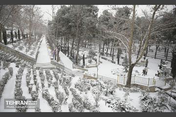 روز برفی تهران 15