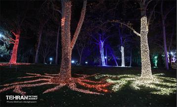 جشنواره «نور در یلدای ایرانی» در بوستان ملت 20