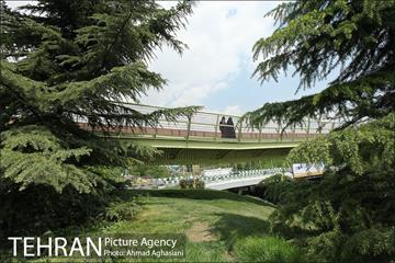 پل جدید بوستان آب و آتش 8