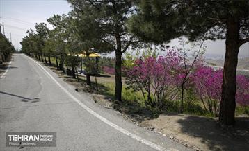 هوای بهاری منطقه 5 29