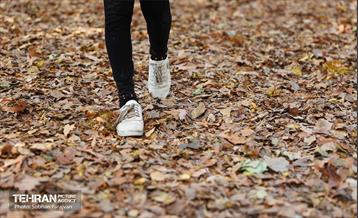 گذر پاییزی بوستان بعثت 6