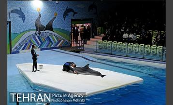 حضور خانواده هاى کارکنان شهردارى تهران در دلفیناریوم برج میلاد به همراه شهردار تهران 25