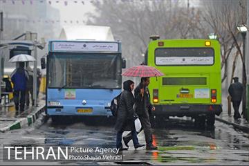 تهران بارانی است 16