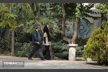 طبیعت پاییزی باغ راه فدک تهران 24