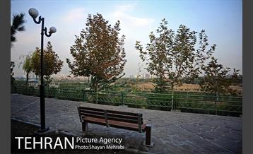 بوستان نهج البلاغه (فاز2) 13