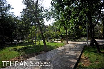 بوستان هفت چنار 24