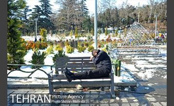 فصل زمستان در بوستان ملت 1
