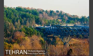 پاییز اراضی عباس آباد 12