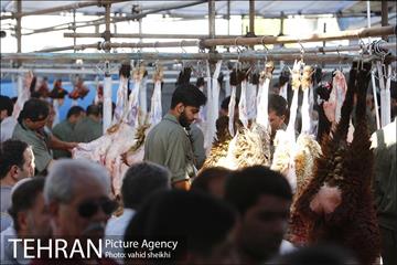 عرضه بهداشتی دام در جایگاه منطقه 2 شهرداری تهران  27