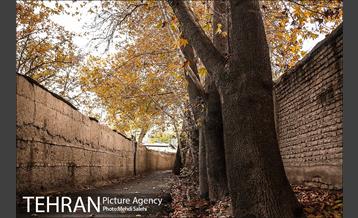 پاییز زیبای منطقه کن 3