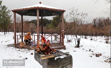 روز برفی در بوستان جنگلی سرخه‌حصار 11