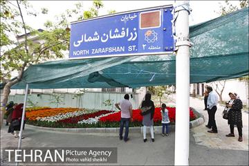 پیاده راه لاله برای مادران 34