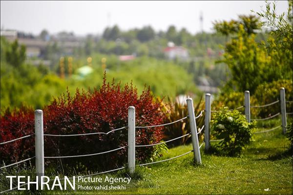 بوستان جوانمردان 16