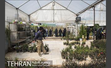 بازار گل شهید محلاتی 11
