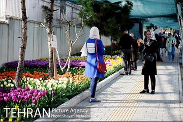 پیاده راه لاله مادران 33