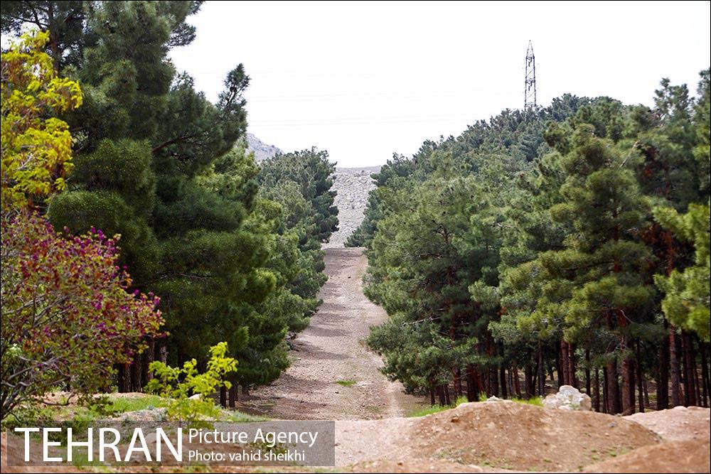 پارک ملی سرخه‌حصار 28