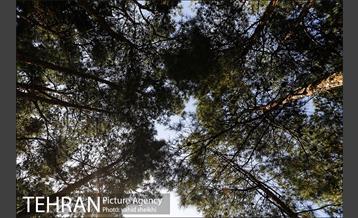 پارک چیتگر 19