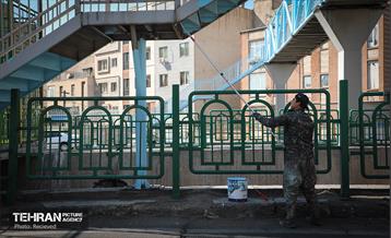 طرح بهار جان‌ها در منطقه 8 10