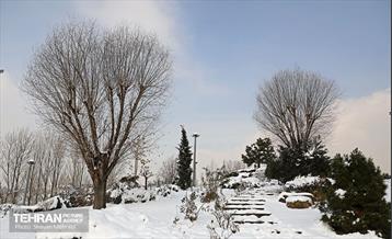 تهران برفی از نمای برج میلاد 6