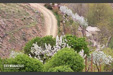هوای بهاری منطقه 22 3
