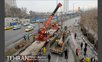 تلاش ویژه شهرداری برای نجات زندگی حدود یکصد درخت اتوبان نیایش 7