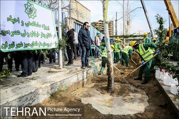تهران گردی احمد مسجدجامعی 13