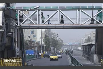 تهران خاکستری 6