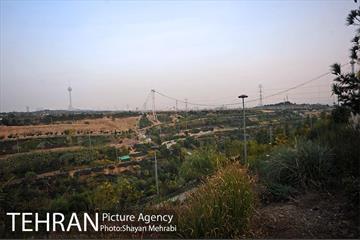 بوستان نهج البلاغه (فاز2) 15